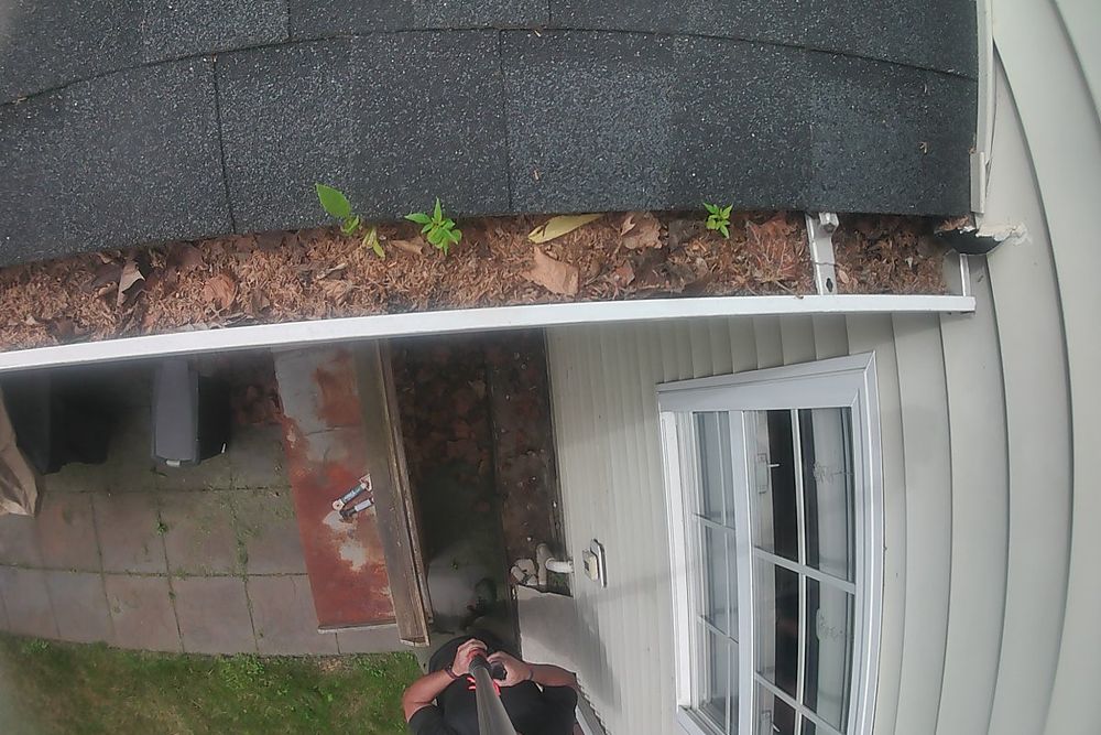 Clogged gutter packed with leaves and weeds growing out of it before cleaning in King of Prussia, PA