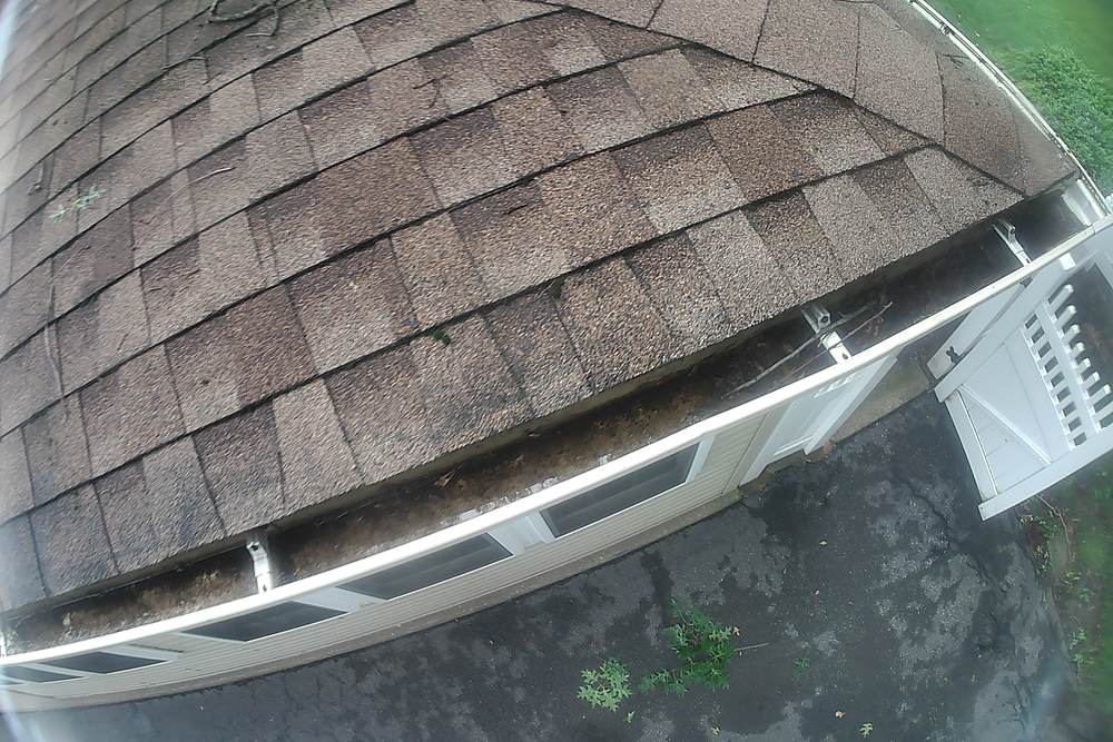 Compacted debris and a seedling growing in a clogged gutter before cleaning in Royersford, PA